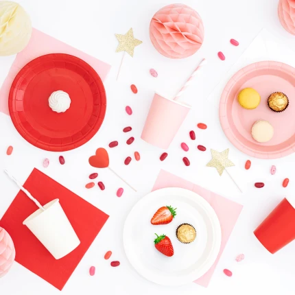 Baltos vienkartinės lėkštutės (6 vnt.)