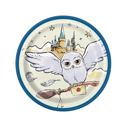 Vienkartinės lėkštutės Harry Potter su pelėda
