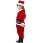 Christmas Gnome Costume