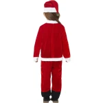 Christmas Gnome Costume