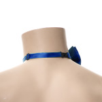 Mėlyna varlytė - Image 2