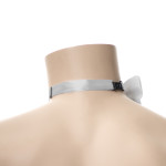 Sidabrinė varlytė - Image 3