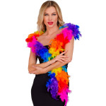 Spalvotų plunksnų boa - Image 4