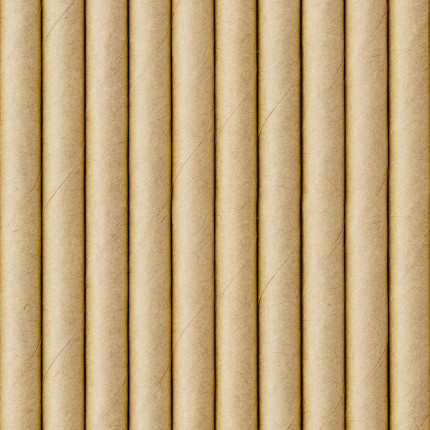 Natūralios spalvos popieriniai šiaudeliai (10 vnt./19,5 cm)