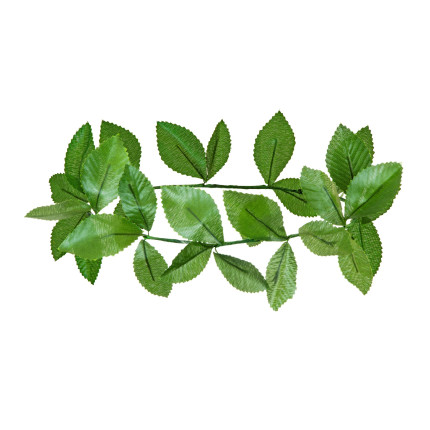 Žalias laurų vainikas